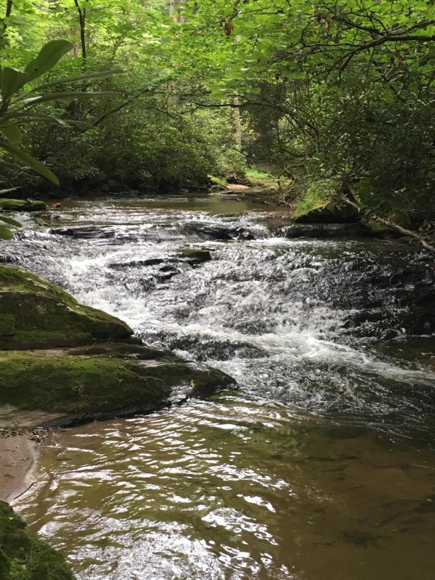 Pine Log Lodge Jefferson المظهر الخارجي الصورة